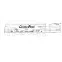 BLACK CAT DECAL - BC007 - CANADIAN PACIFIC COVERED HOPPER - HO SCALE