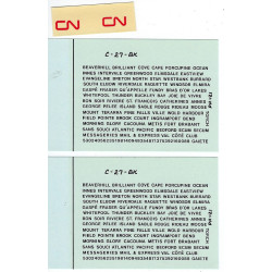 CHAMP DECAL PH-121 - CANADIAN NATIONAL PASSENGER CAR - POST 1960 - HO SCALE